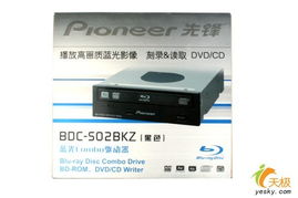 pioneer的意思是什么?
