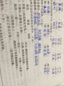 扶什么携什么的成语大全，扶什么携什么成语(一对反义词)