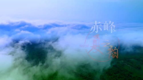 百代之过客 光阴之逆旅 李白，夫万物之逆旅,光阴百代之过客