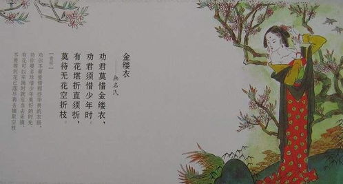 花开堪折直须折是什么意思?