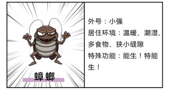 泛指的解释泛指的解释是什么