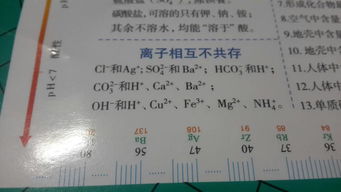 帮扶指的是什么