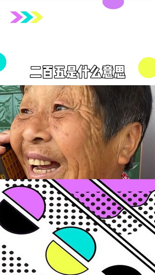 二百五是什么意思