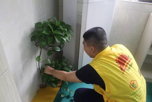 袒开的反义词是什么?