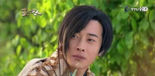 凤凰男是什么意思 凤凰男和孔雀女是什么梗【图解】