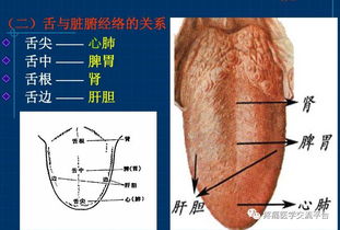 望诊十法口诀，望诊内容