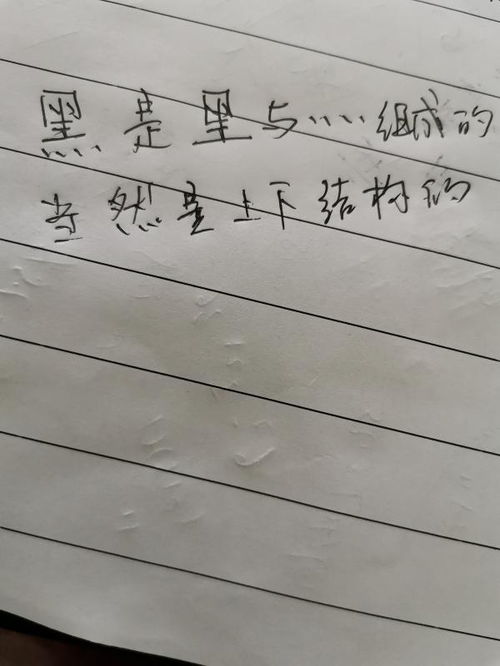 情字的写法