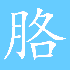 胳组词 胳组词有哪些