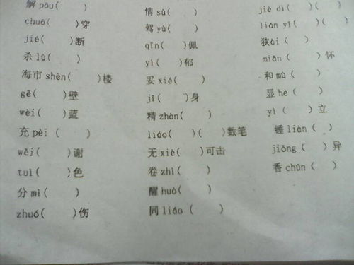 请问这个(做)都可以组什么词语呀