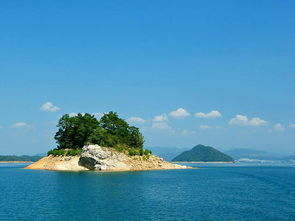 《妄想山海》仙域东岛前往方式、特色玩法介绍