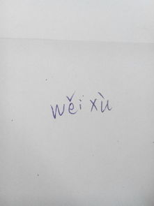 苇的拼音是什么