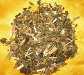 省头草的功效与作用及禁忌，省头草的正名叫什么