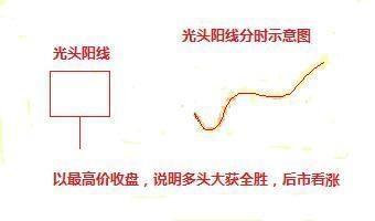 倾囊相授是什么意思 倾囊相授的释义