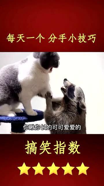 反间计打一数字，反间计读音是什么意思