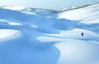 狼人杀术语中“上警、警上、金水、银水”指的是什么?
