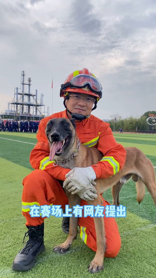 训导法则by凉蝉，训导主任