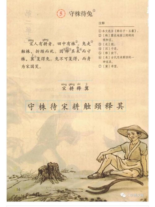 株字组什么词?，株能组什么词啊