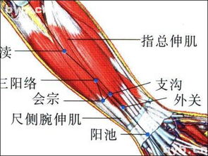 外关定位，外关内关的准确位置图和作用