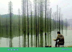 忙里偷闲的意思