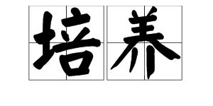 辛勤培育的近义词，培育的近义词和反义词
