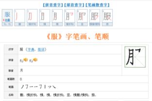 服字笔顺笔画顺序