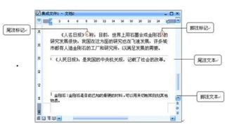 word脚注是什么意思，表格的脚注是什么意思