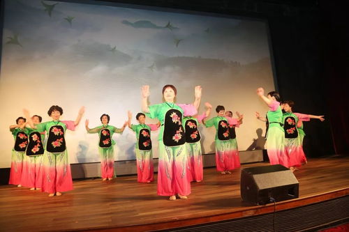 什么的表演成语，什么的表演节目