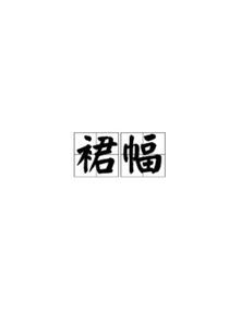为佳行车记录仪使用说明书，卫佳5