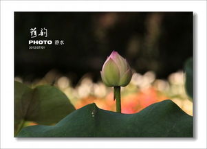 呢喃细语的意思是什么说明风声很什么，呢喃细语的意思是什么在这句话中是用来形容什么的声音