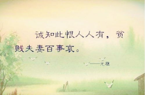 真心实意的意思