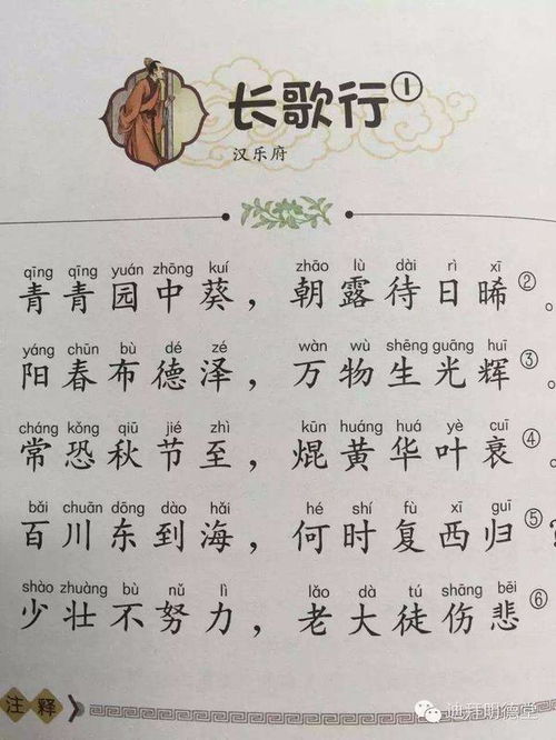 长歌行拼音版原文，长歌行拼音注解