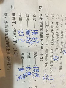 完整的反义词是什么词，完整的反义词是什么 三年级下册