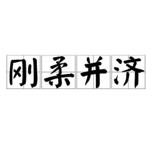 刚柔并济的济什么意思，舞蹈刚柔并济什么意思