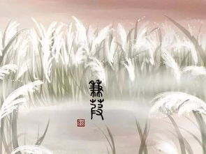 溯洄从之的洄是什么意思，溯洄之链怎么得