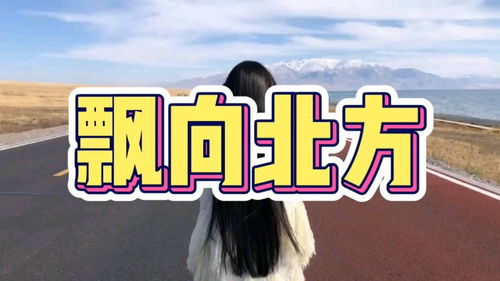 那行英文，那行人