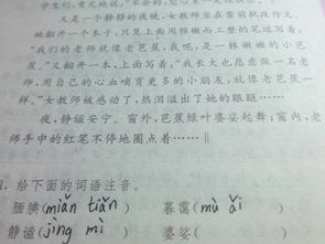 婆娑的读音