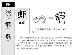 虾的拼音怎么写的拼，小龙虾的拼音