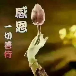 求一首歌名:"默默承受着雨,某年某月"