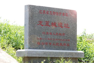 苴怎么读 拼音，苴国怎么读