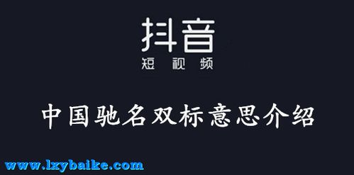 双标是什么意思