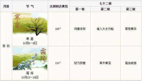 季秋扮演者，季秋姐是什么电视剧