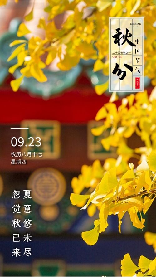 秋高气爽造句有哪些