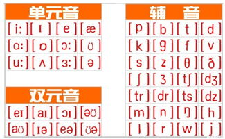 初旬的拼音是什么，初旬拼音怎么读音