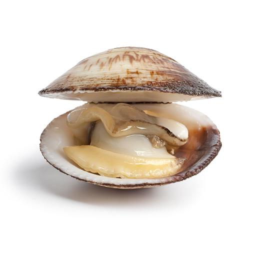 clam down是什么意思?