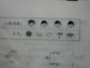 曾可以组什么词