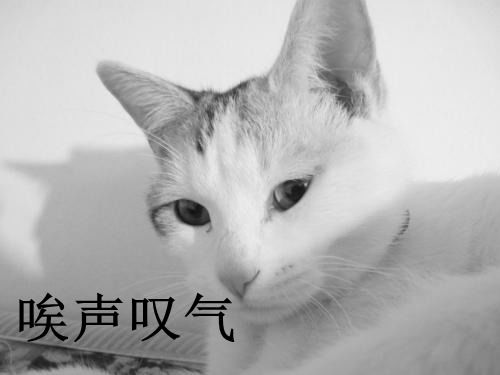 唉声叹气的意思是什么?，唉声叹气的意思和拼音