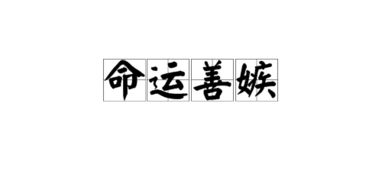 嫉的拼音