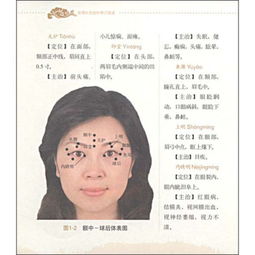 颞颥的解释