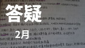 农的笔顺笔画顺序