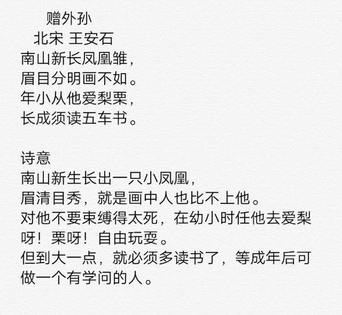赠外孙王安石拼音版，赠外孙宋王安石